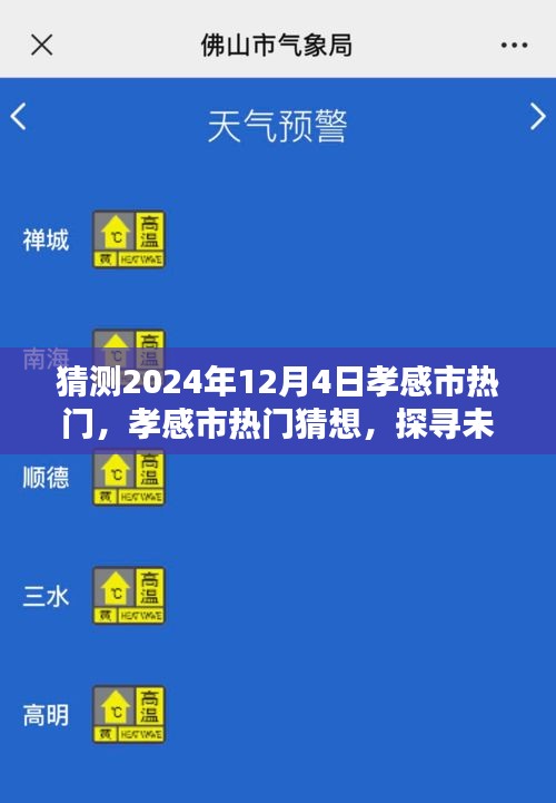 探尋孝感市未來魅力風(fēng)采，2024年12月4日熱門猜想與風(fēng)采展望