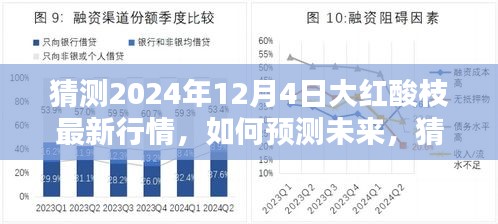 2024年預(yù)測(cè)，大紅酸枝最新行情展望與步驟指南