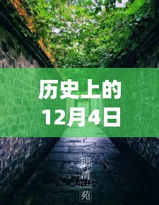 歷史上的12月4日潁上易景售樓盛況揭秘，巷陌間的夢幻售樓空間獨特記憶