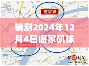 諶家磯球場最新動態(tài)展望，未來賽事猜想（2024年12月4日）