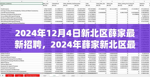 2024年新北區(qū)薛家最新招聘全攻略，適合初學(xué)者與進(jìn)階用戶(hù)的應(yīng)聘指南