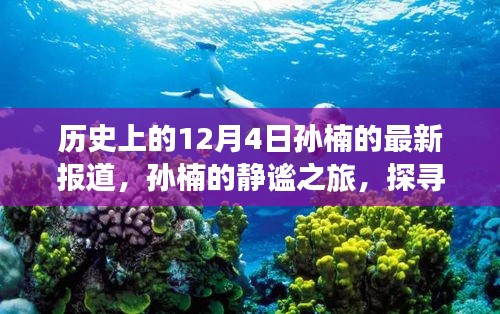 孫楠的靜謐之旅，探尋自然美景與內(nèi)心力量的歷史報道（12月4日最新）