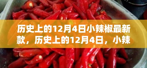 歷史上的小辣椒最新款誕生與影響，揭秘12月4日的獨(dú)特意義