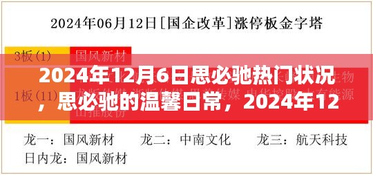 思必馳溫馨日常，揭秘2024年12月6日的奇妙時(shí)光