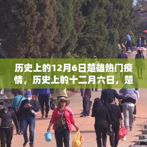 歷史上的十二月六日，楚雄疫情風(fēng)云變遷回顧