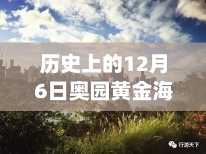 揭秘黃金海岸，歷史上的12月6日最新動態(tài)與發(fā)展歷程揭秘