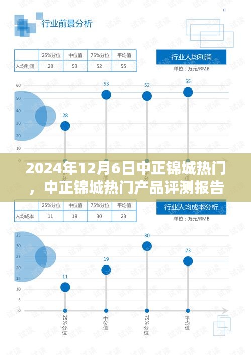 2024年12月6日中正錦城熱門，中正錦城熱門產(chǎn)品評測報告——深度解析與用戶體驗分享（XXXX年XX月XX日版）