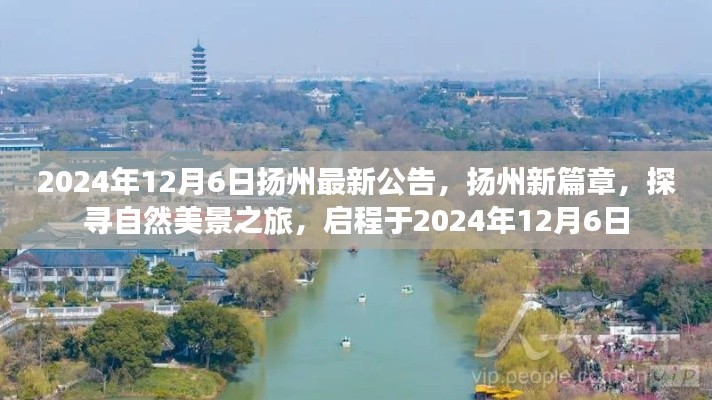 揚(yáng)州新篇章啟程，探尋自然美景之旅的最新公告（2024年12月6日）