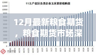 聚焦糧食期貨市場(chǎng)深度洞察，十二月最新動(dòng)態(tài)與市場(chǎng)趨勢(shì)