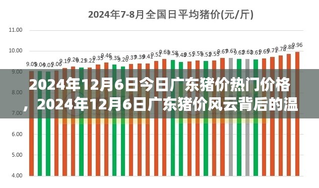 廣東豬價風(fēng)云背后的溫情故事，最新價格動態(tài)與深度解讀