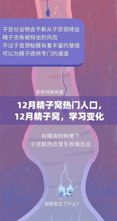 12月精子窩，學(xué)習(xí)變化與自信成就感的源泉，熱門人生的啟航地