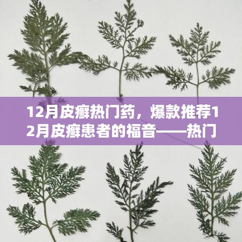 12月皮癬熱門藥物大盤點(diǎn)，爆款推薦與患者的福音