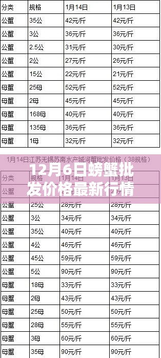 12月6日螃蟹批發(fā)價格最新行情，12月6日螃蟹批發(fā)價格最新行情詳解，入門指南與關鍵步驟