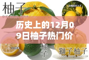 風(fēng)馳電掣 第3頁(yè)