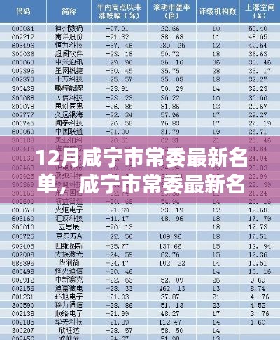 12月咸寧市常委最新名單，咸寧市常委最新名單科技新品亮相，智能時(shí)代，革新未來(lái)體驗(yàn)