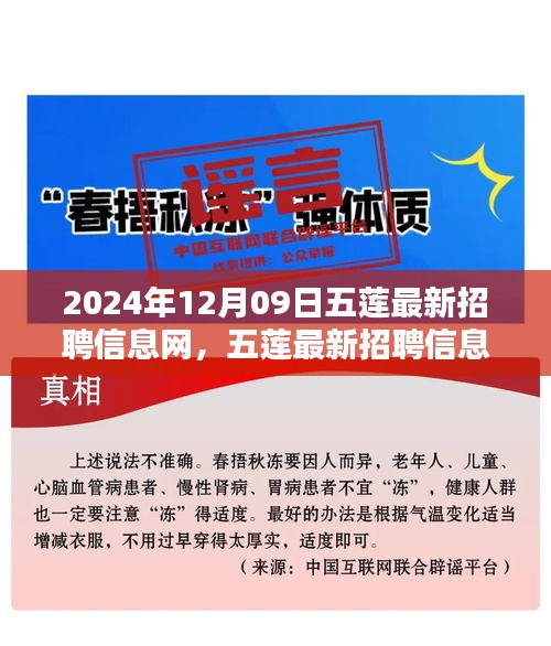 五蓮最新招聘信息網(wǎng)使用指南（初學(xué)者與進階用戶適用，發(fā)布日期，2024年12月9日）