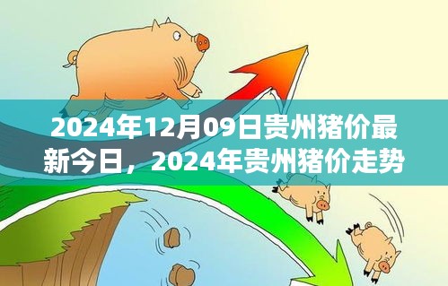 2024年貴州豬價走勢分析與深度探討，最新今日豬價及未來趨勢