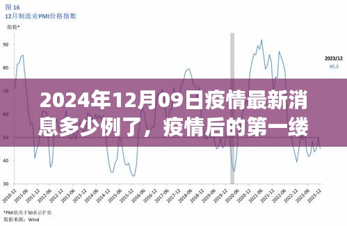 疫情最新消息下的自然美景之旅，啟程尋找內(nèi)心的寧靜港灣（2024年12月09日）