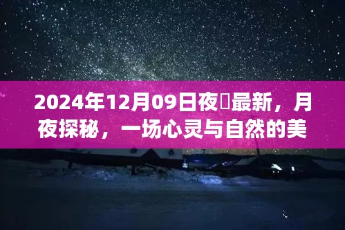 月夜探秘，心靈與自然的邂逅——記2024年12月09日夜廻之旅