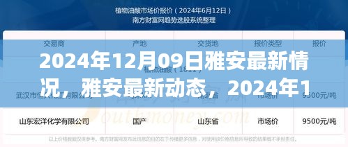 雅安最新動態(tài)深度觀察，2024年12月09日最新情況報告