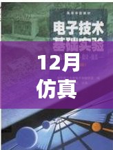 仿真之路，實(shí)時(shí)啟航，迎接自信與成就感的魔法時(shí)刻——十二月仿真需求解析