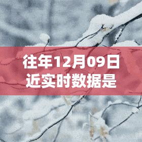 往年12月9日數(shù)據(jù)的魔法，溫馨回憶中的實(shí)時(shí)時(shí)光