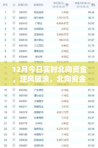 北向資金啟示下的成長奇跡，12月實時洞察，自信成就夢想之旅