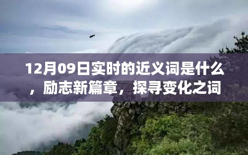 12月09日實時近義詞探索與勵志新篇章，探尋詞匯魔力，學(xué)習(xí)鑄就自信成就之橋