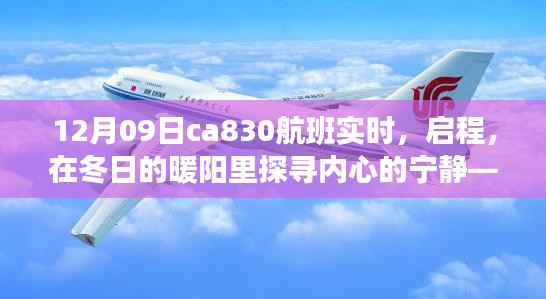 冬陽(yáng)下的奇妙之旅，CA830航班探尋內(nèi)心寧?kù)o的啟程