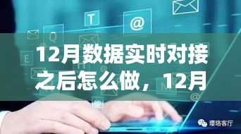 12月數(shù)據(jù)實(shí)時(shí)對接后的策略指南，多方考量與行動步驟