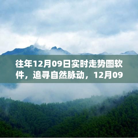 追尋自然脈動，12月09日走勢圖背后的心靈之旅與實時走勢圖軟件解析