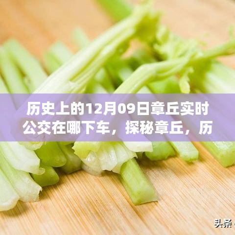 探秘章丘，歷史深處的公交軌跡與小巷美食寶藏——12月9日實(shí)時(shí)公交指南