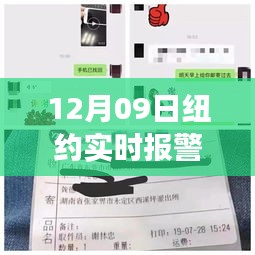 紐約實時報警電話背后的故事，變化、學習與自信的力量揭秘（附最新報警電話）