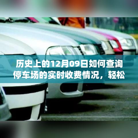 如何查詢停車場實時收費情況？詳細步驟指南（歷史上的12月09日版）