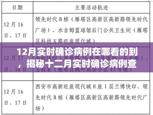 揭秘十二月實(shí)時(shí)確診病例查詢途徑，輕松掌握疫情動(dòng)態(tài)科普知識(shí)