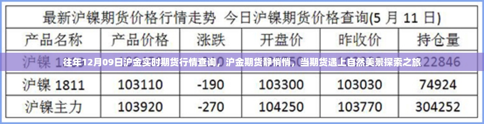 往年12月09日滬金期貨行情解析，靜謐市場與美景探索之旅