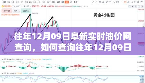 往年12月09日阜新實時油價網(wǎng)查詢攻略，初學者與進階用戶指南