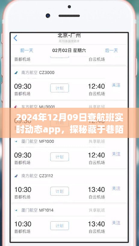 探秘航班實(shí)時(shí)動(dòng)態(tài)小天地，2024年12月9日的奇妙航班查詢之旅