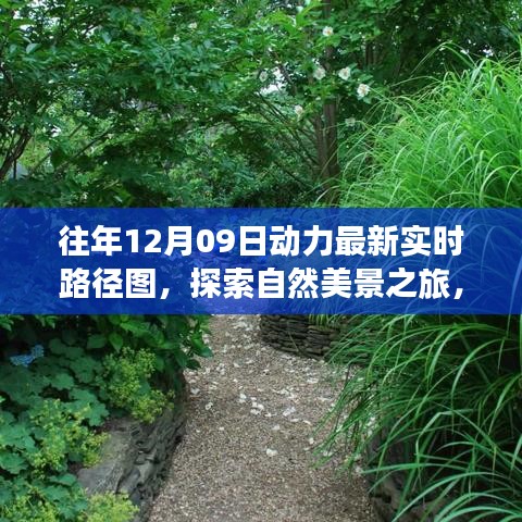 往年12月09日動力路徑圖，自然美景探索之旅的寧靜與和諧體驗