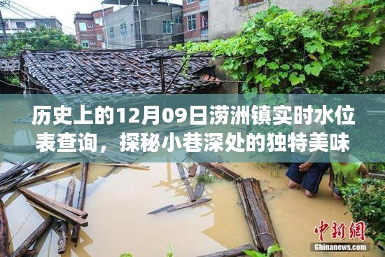 探秘澇洲鎮(zhèn)，歷史水位變遷中的小巷美食記憶——實時水位表查詢與獨特美味探秘