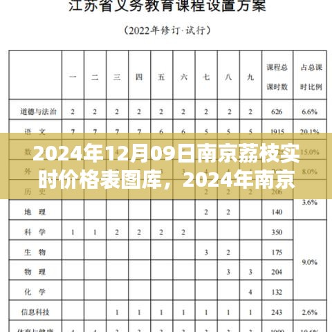 2024年南京荔枝實(shí)時(shí)價(jià)格表圖庫制作指南，從初學(xué)者到進(jìn)階用戶全攻略