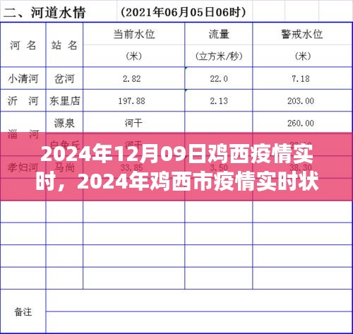 2024年雞西市疫情實時狀況深度解析與觀點闡述