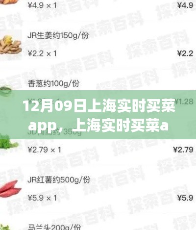 上海實(shí)時(shí)買(mǎi)菜app使用指南，從初學(xué)者到進(jìn)階用戶(hù)的全方位指南（12月09日版）