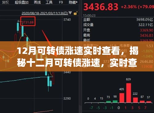 揭秘十二月可轉(zhuǎn)債漲速，實時查看與深度解讀報告