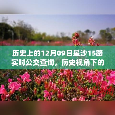 niaomianhuxing 第2頁