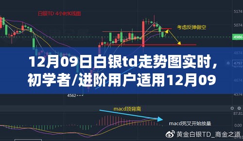 12月09日白銀TD走勢圖實時分析指南，適合初學者與進階用戶