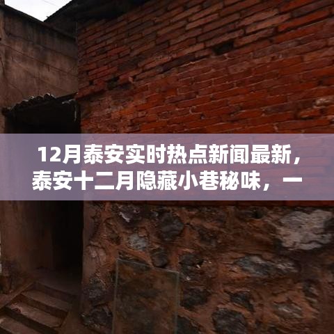 泰安十二月熱點新聞與隱藏小巷的特色美食探索，一家特色小店的驚喜之旅