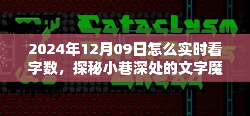 探秘小巷深處的文字魔法屋，如何在特定日期實(shí)時查看字?jǐn)?shù)技巧揭秘（2024年12月09日）