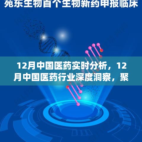 聚焦實(shí)時(shí)分析，探尋中國醫(yī)藥行業(yè)深度洞察與發(fā)展之路