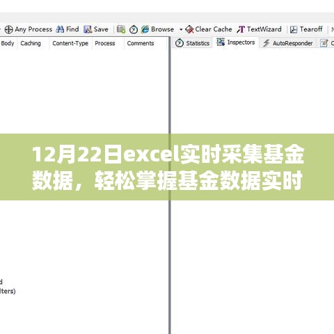 Excel基金數(shù)據(jù)實(shí)時(shí)采集進(jìn)階，掌握實(shí)時(shí)動態(tài)，輕松管理投資組合（12月22日）